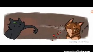 Шутки про котов воителей!(часть 2)!