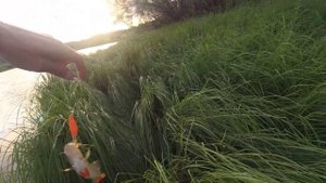 Летняя рыбалка в Усть-Ишимском районе. Отпуск. Часть 1