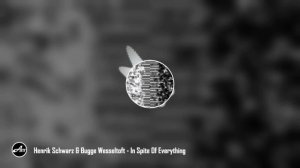 Henrik Schwarz & Bugge Wesseltoft - In Spite Of Everything