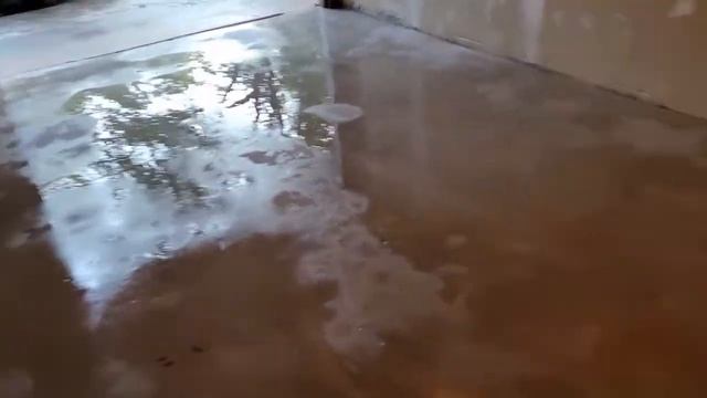 Removing adhesive from an old concrete floor смотреть онлайн