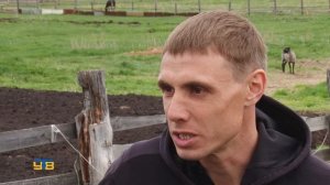 ЛПХ можно развивать и в малых населённых пунктах