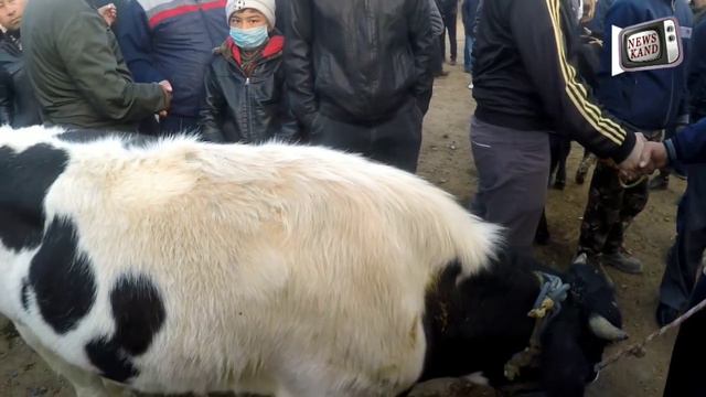 Молбозори ш Конибодом 24 10 2020 смотреть онлайн