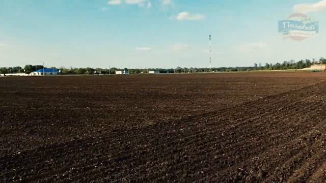Работа в поле культиватора КПС-4 производства "КОРММАШ"