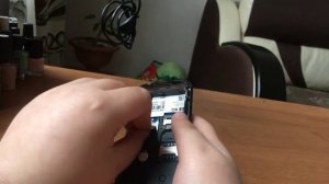 Обзор телефона бкю респект