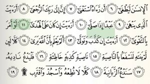 Аль-Аляк' (Сгусток). 96-ая Сура из Корана. Чтец Мухаммад Джибриль. #коран #альалак #альаляк