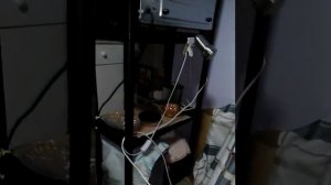 №2 Ротовёртер из асинхронных двигателей. Бесплатное электричество.