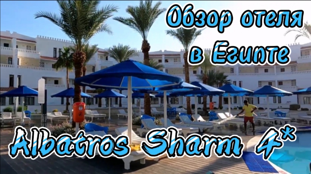 Отель Albatros Sharm 4*/Beach Albatros Resort/Pickalbatros, Египет, Шарм Эль Шейх