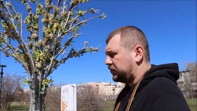 Евгений Кольцов самозанятый искусственные деревья смотреть онлайн