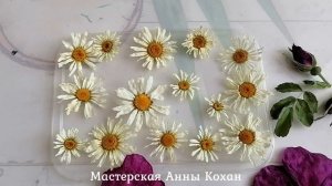 ❤Видео урок по сушке цветов на обучающей платформе !❤