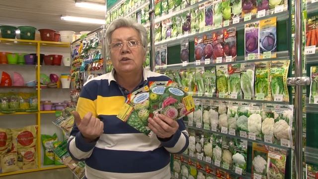 Голова садовая - Обзор декоративной капусты смотреть онлайн