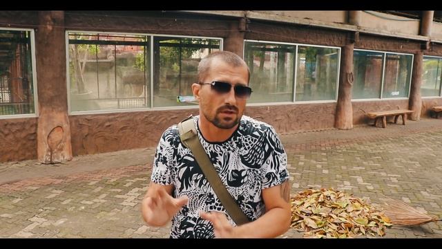 Жесть! Настоящие ядовитые скорпионы! Королева скорпионов и поросячьи бега. Крутое шоу смотреть онлайн