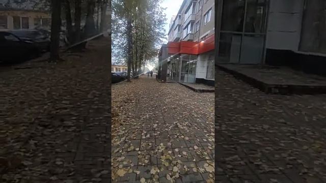 Вязьма, ул. Московская