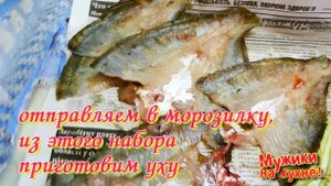 Как легко разделать окуня и вкусно завялить.
