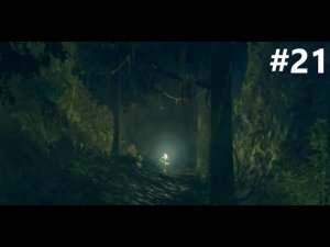 Dark Souls: Remastered #21 Сад Темных Корней