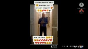 Кот киселёчек кататься с дедулей