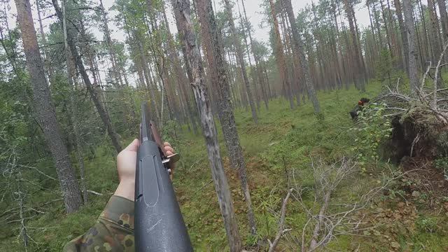 По боровой дичи! смотреть онлайн