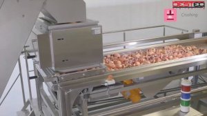 Линия по производству гранатового сока