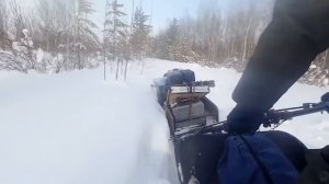 На что способна мотособака 15 сил?