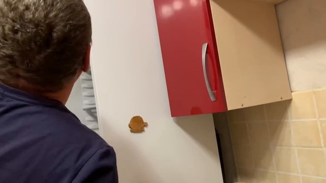 ПО СОВЕТАМ ЗРИТЕЛЕЙ/ВИТАЛЯ ЭТО СДЕЛАЛ!!!/Я ПРИСЛУШИВАЮСЬ К ВАШИМ СОВЕТАМ,если МНЕ ОНИ ИНТЕРЕСНЫ смотреть онлайн