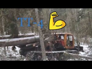 трелевка леса на тт4