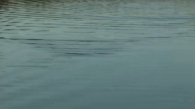 Офигенная приманка ПИНГВИН Щуки с каждого заброса смотреть онлайн