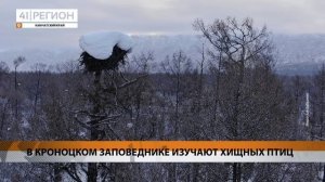 В КРОНОЦКОМ ЗАПОВЕДНИКЕ ИЗУЧАЮТ ХИЩНЫХ ПТИЦ • НОВОСТИ КАМЧАТКИ