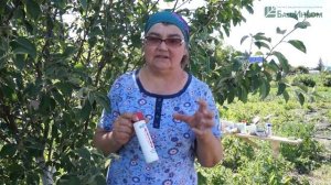 Подкормка растений в саду. Чем хорош Борогум