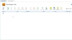 How to connect to hosting via SSH (ISPmanager, PuTTY)