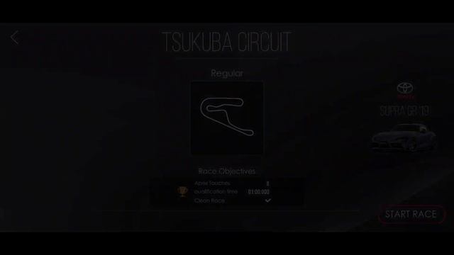 GLOBAL RANK Tutorial | Assoluto racing