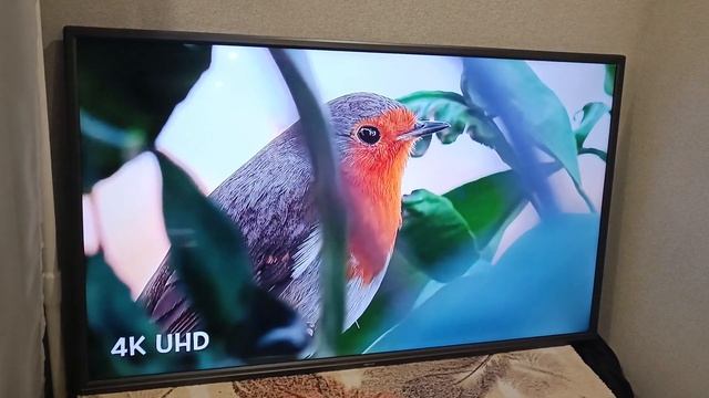 dexp 48d8000k смотреть онлайн