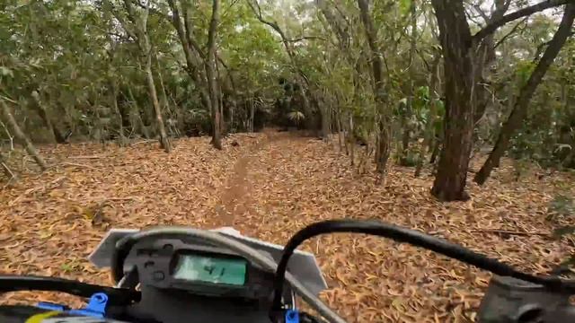 BHR E-Race Electric Dirt Bike | 50% Honda?
