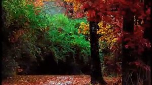 Sous le ciel de Paris
