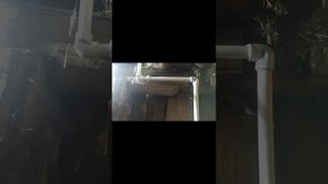 Доильный аппарат Melasty. (стационарный)