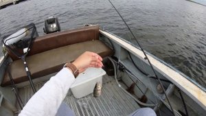 Рыбалка на финском заливе в районе Ломоносова (Южная дамба). Отводной и троллинг 13.08.2022.