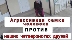 Как правильно выбрать питомца