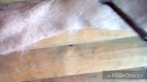 Хитрый способ конопатки сруба бани или дома