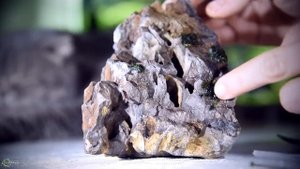 Мхи в аквариуме — любовь с первой мшинки