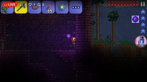 Terraria 0.3.3 #5 путешествие в джунглий