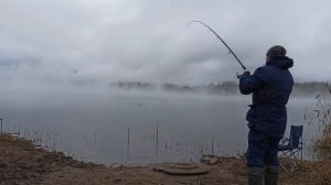 "Караси МОНСТРЫ" |  ШОК. Рыба с огромной силой