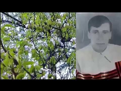 Бессмертный полк 2020 смотреть онлайн