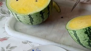 Арбузы от агрофирмы ПАРТНЁР!!! Фейерверк и Байсан...