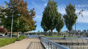 ??【4K】Vancouver Autumn Walk - English Bay to David Lam Park (September, 2021)