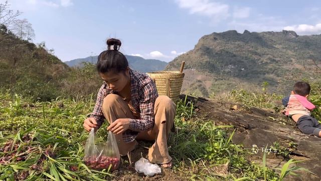 17 Year Old Single Mother - build Bamboo Fence To Go The Market And Buy Puppies To Raise - ly tu c смотреть онлайн