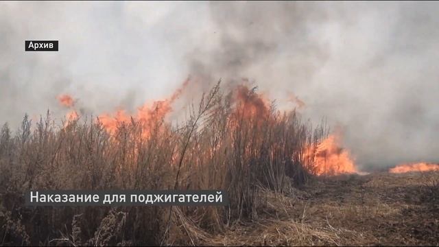Виновники ландшафтных пожаров в Тюменской области выплатят штраф смотреть онлайн