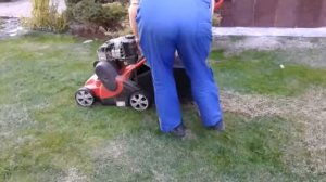 Аэрация - скарификация газона 1