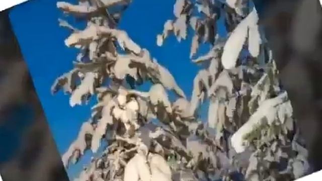 Сказочной зимней ночи, сладких снов 10220 (0.31) смотреть онлайн