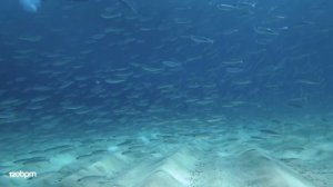 Anton Ishutin  Like a drum_1080p