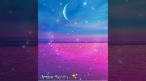 Лучшие НАШИДЫ...✨?