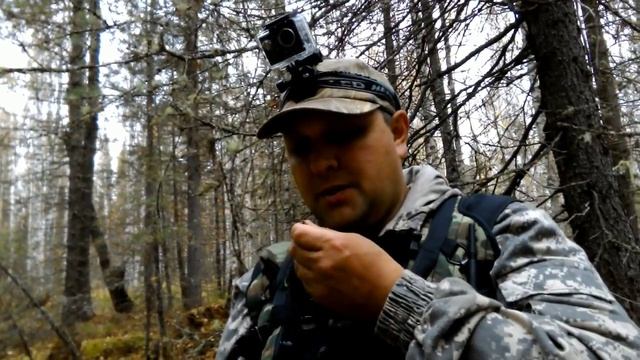 Охота. Заметки охотника #6. За рябчиком с манком. Бекас. Работа русского спаниеля. Hunting in russi