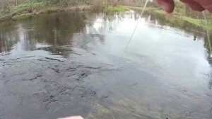 Весенняя рыбалка на хариуса. Разведка